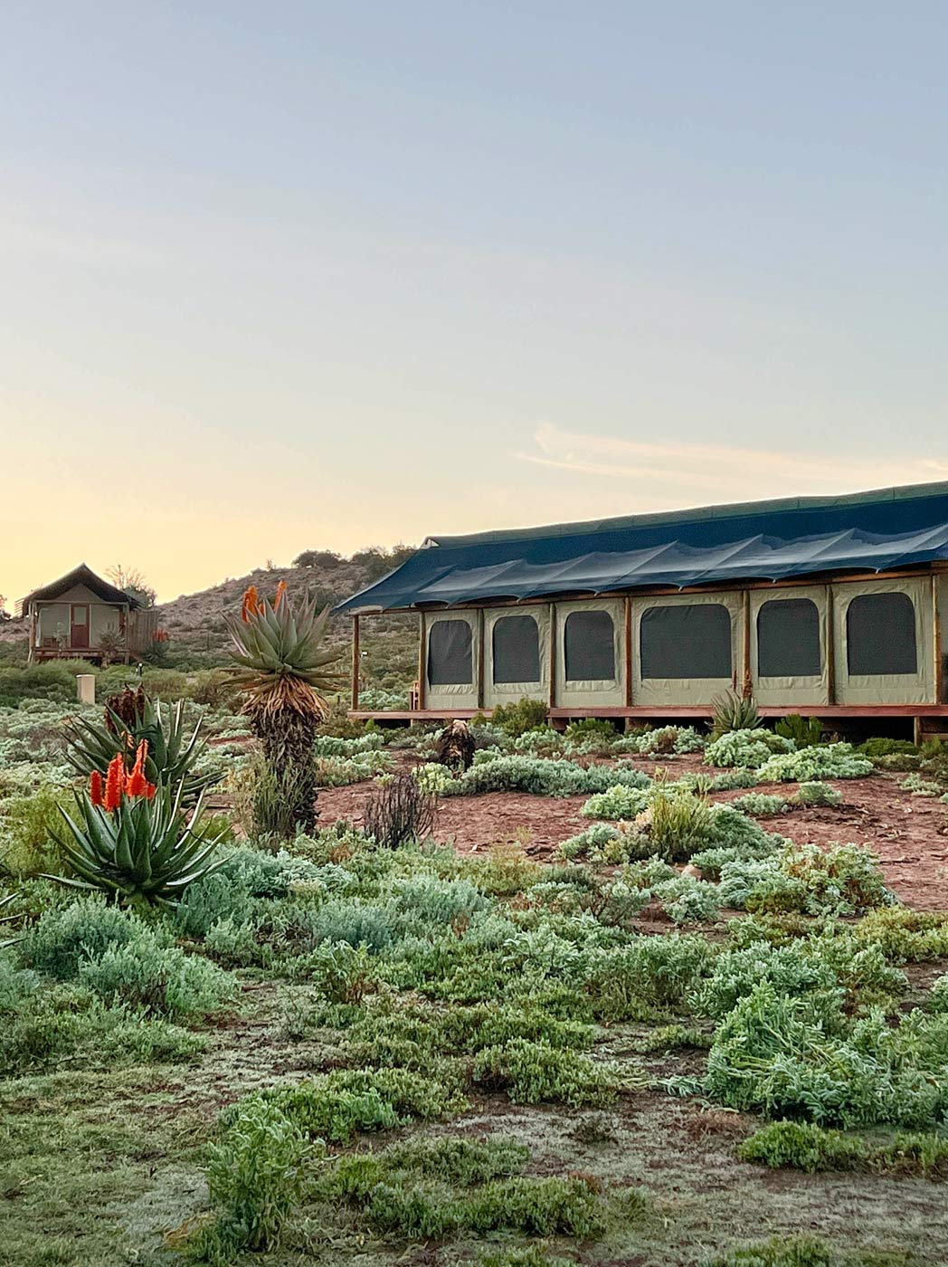 Buffelsdrift Game Lodge - Image 1