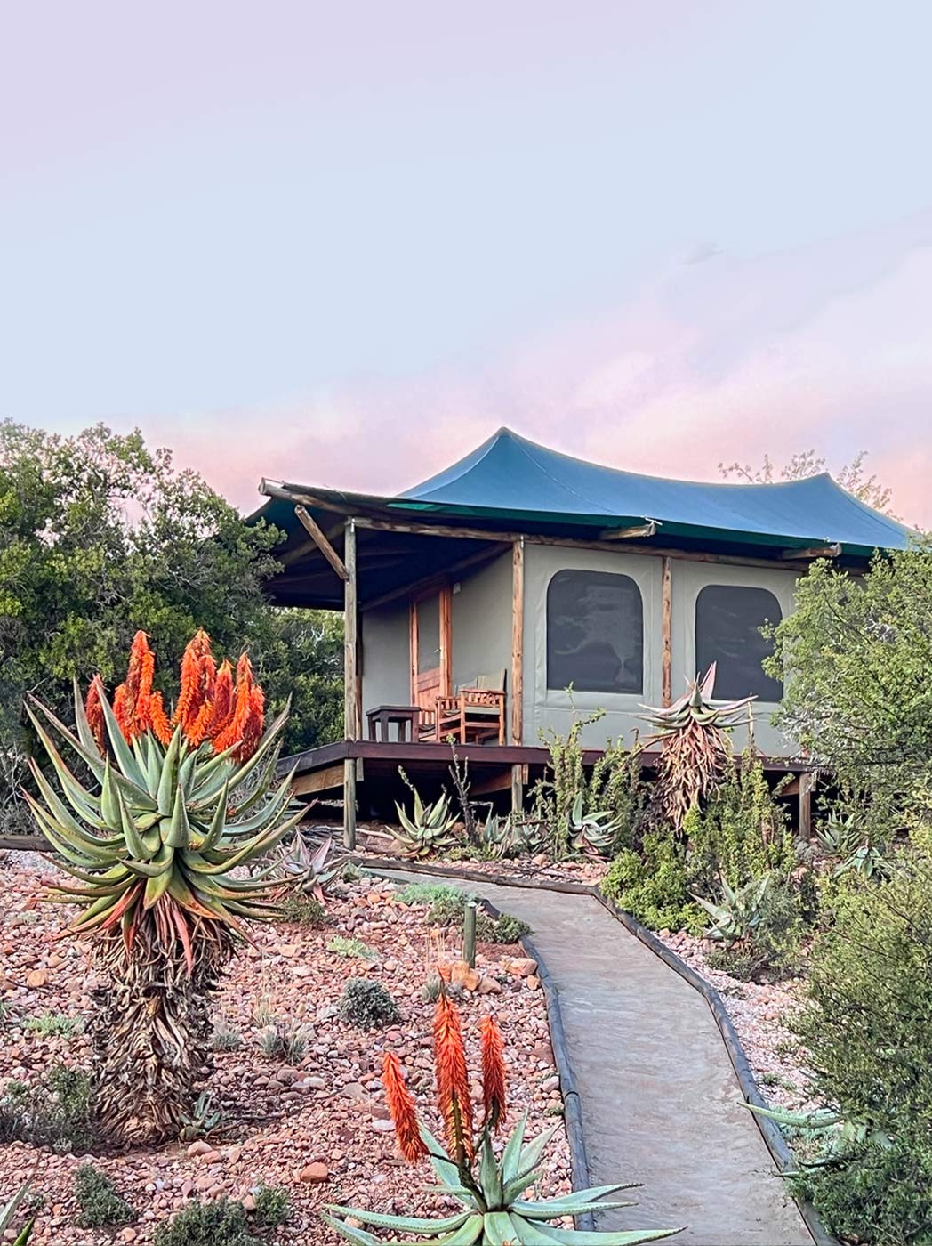 Buffelsdrift Game Lodge - Image 8