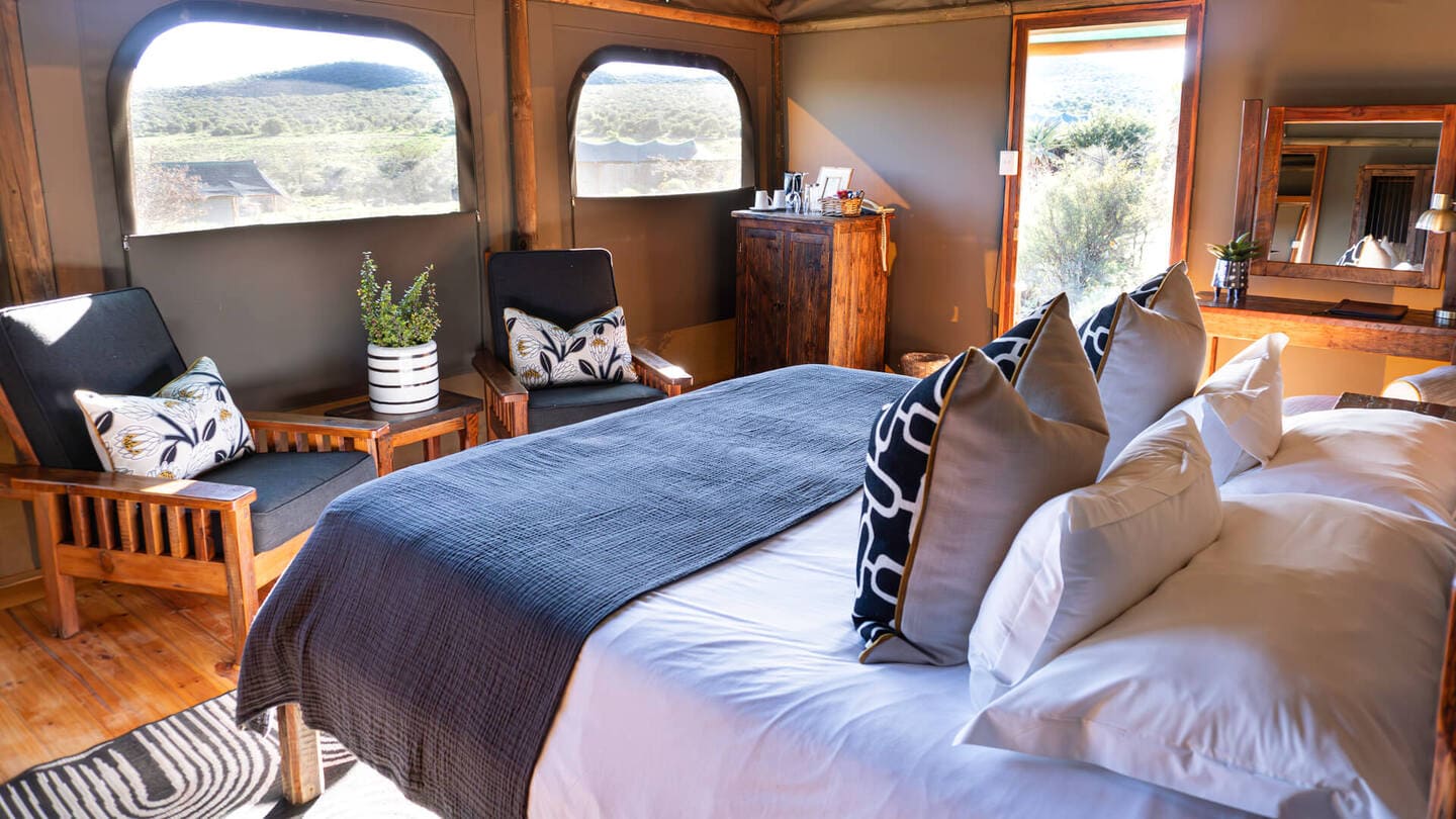 Buffelsdrift Game Lodge - Image 17