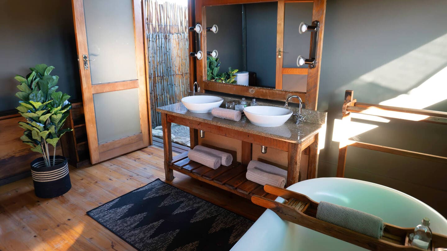 Buffelsdrift Game Lodge - Image 18