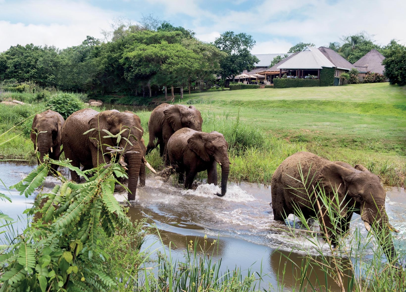 Hippo Hollow - Image 7