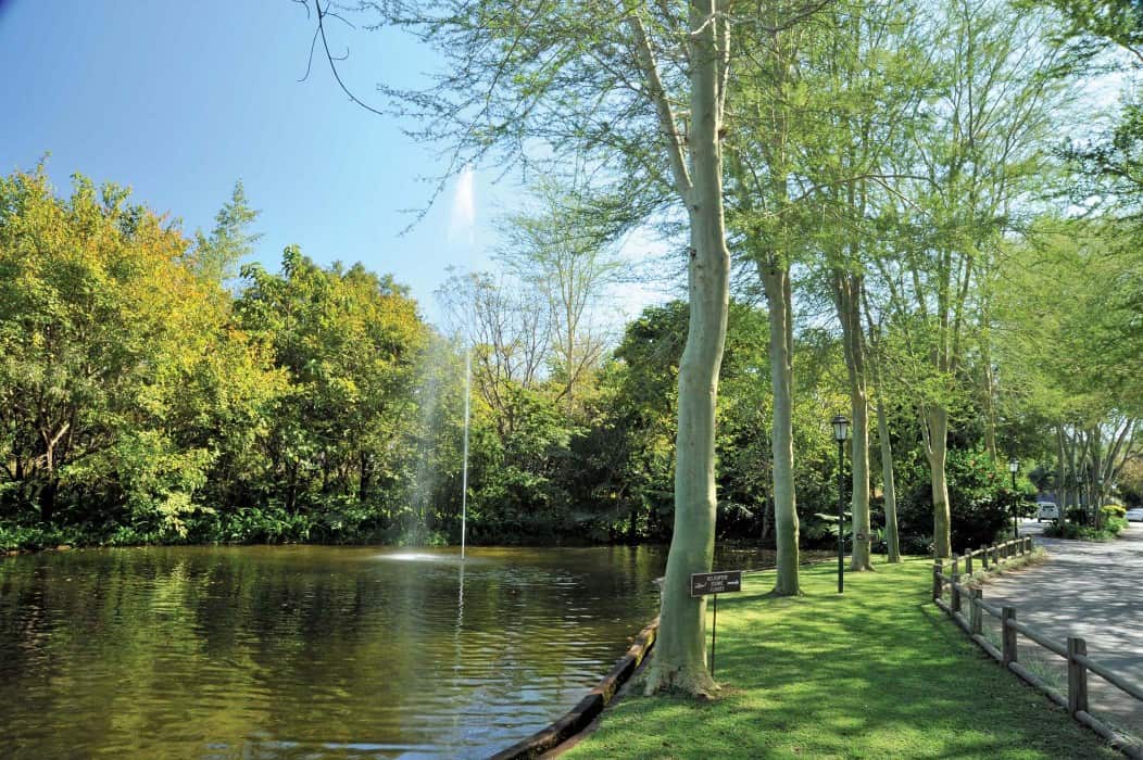 Hippo Hollow - Image 8