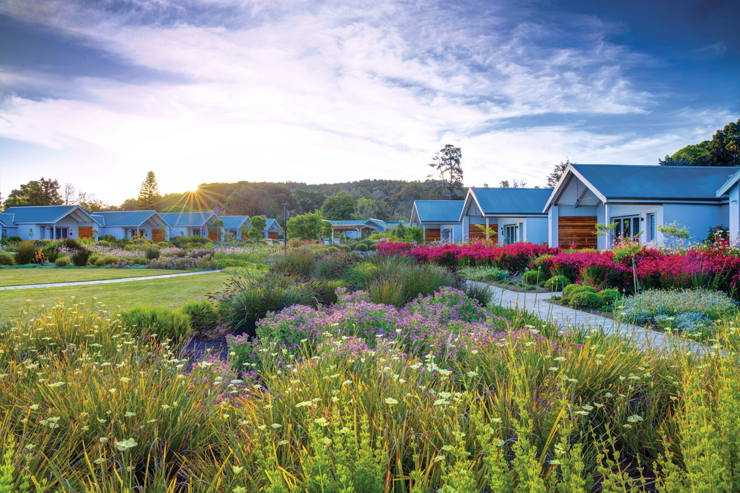 Knysna Hollow Country Estate - Image 1