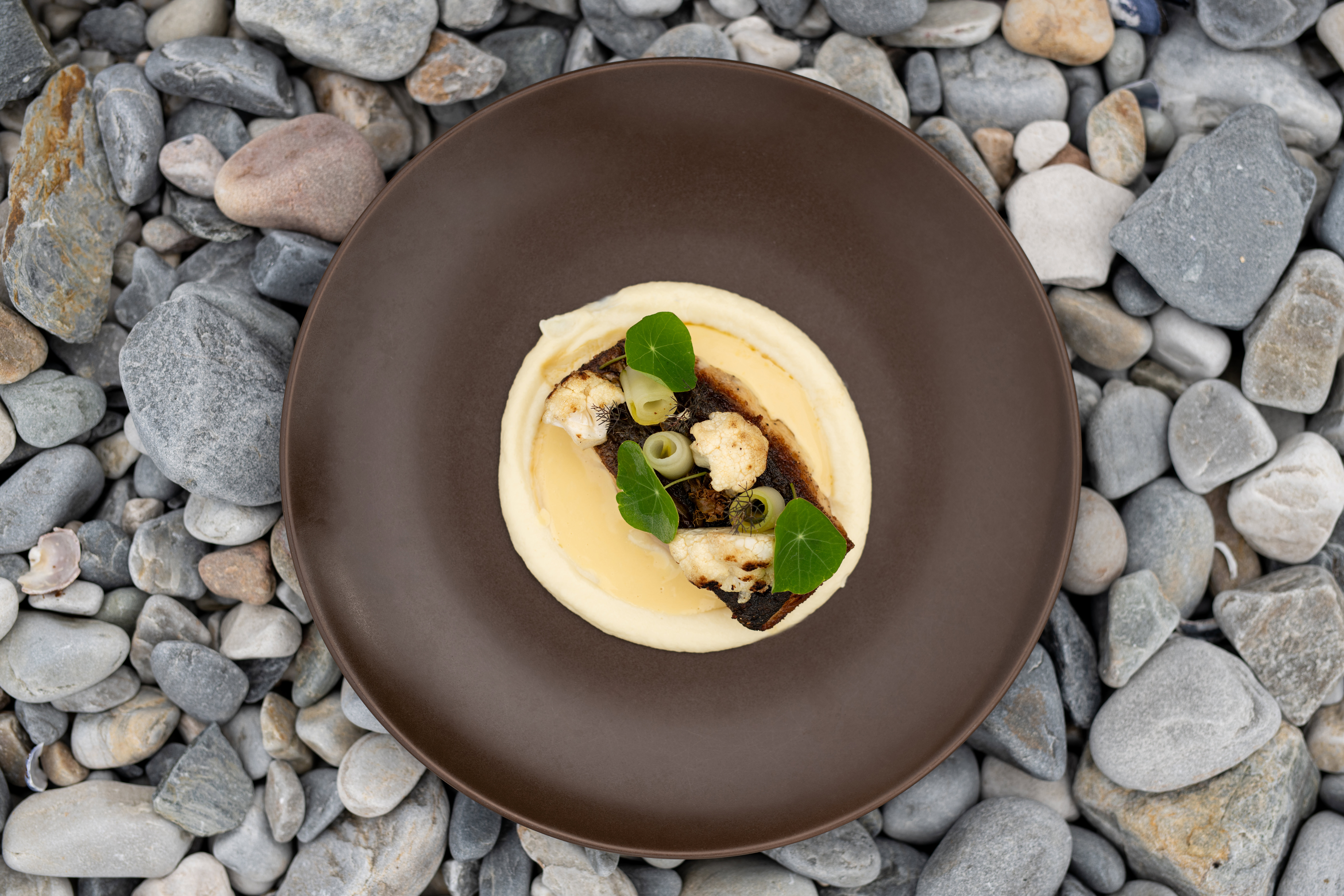 The Marine Hermanus - Image 11